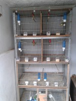 /album/instala%c3%a7%c3%b5es-de-cria%c3%a7%c3%a3o-2013/a2013-01-24-16-03-54-jpg/